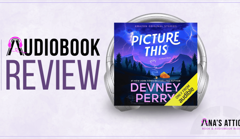 Picture This by Devney Perry | Audiobook Review